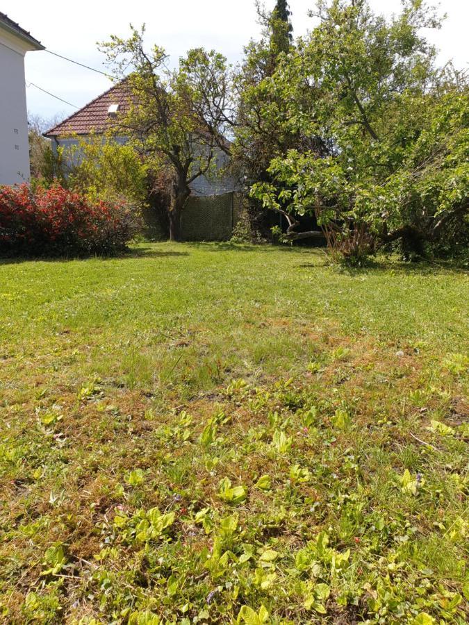 Family Apartment Linz Wohnen Mit Garten Am Fusse Des Poestlingbergs Top Lage Villenviertel Exterior foto