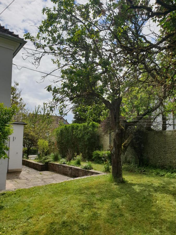 Family Apartment Linz Wohnen Mit Garten Am Fusse Des Poestlingbergs Top Lage Villenviertel Exterior foto