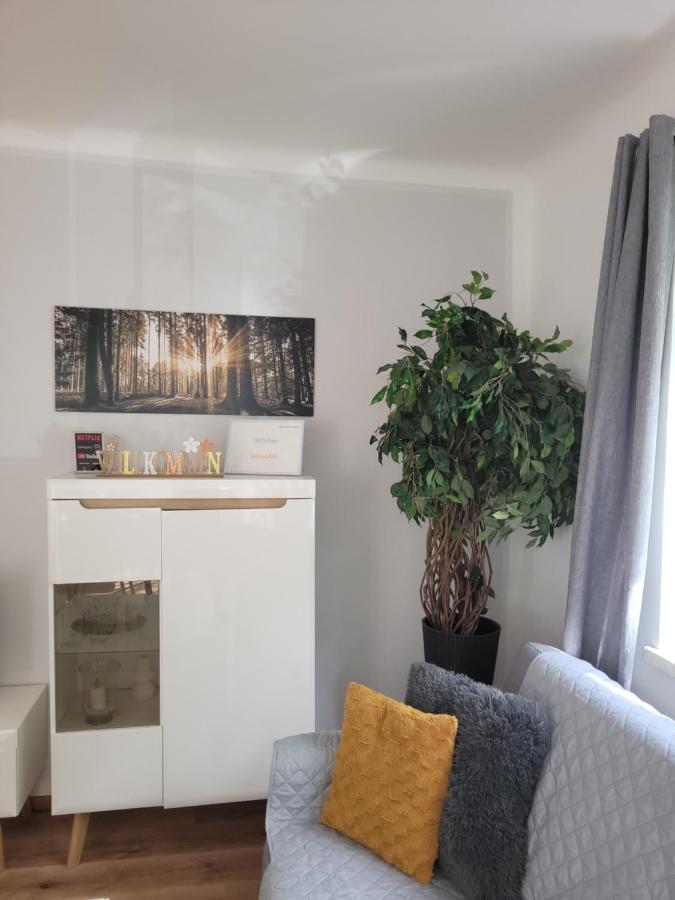 Family Apartment Linz Wohnen Mit Garten Am Fusse Des Poestlingbergs Top Lage Villenviertel Exterior foto
